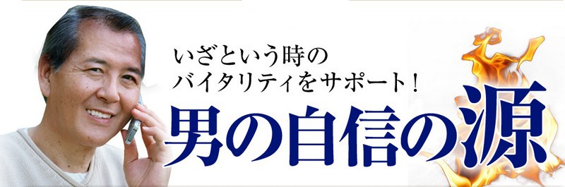 ���͓I�ɐ�������������j�̃v���Z���^���T�C�g